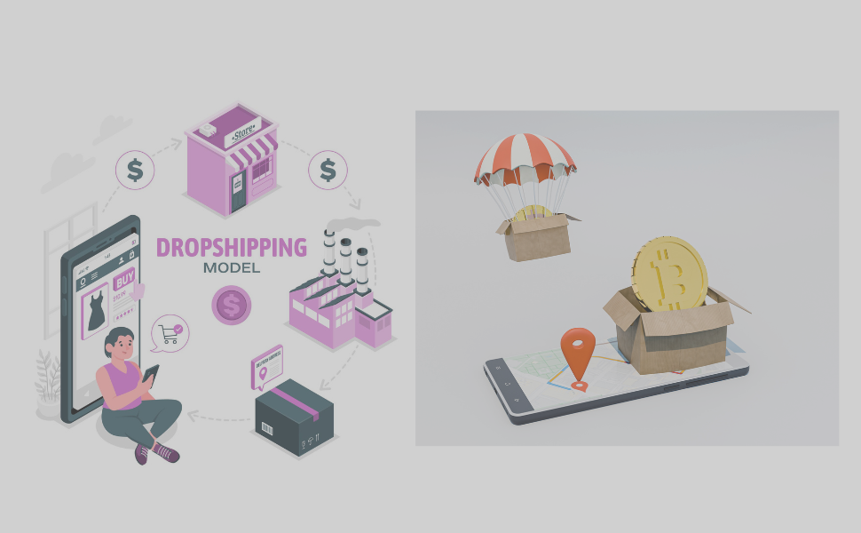 Dropshipping Guide: Amazon vs. Shopify – Which Model Is Best for You?