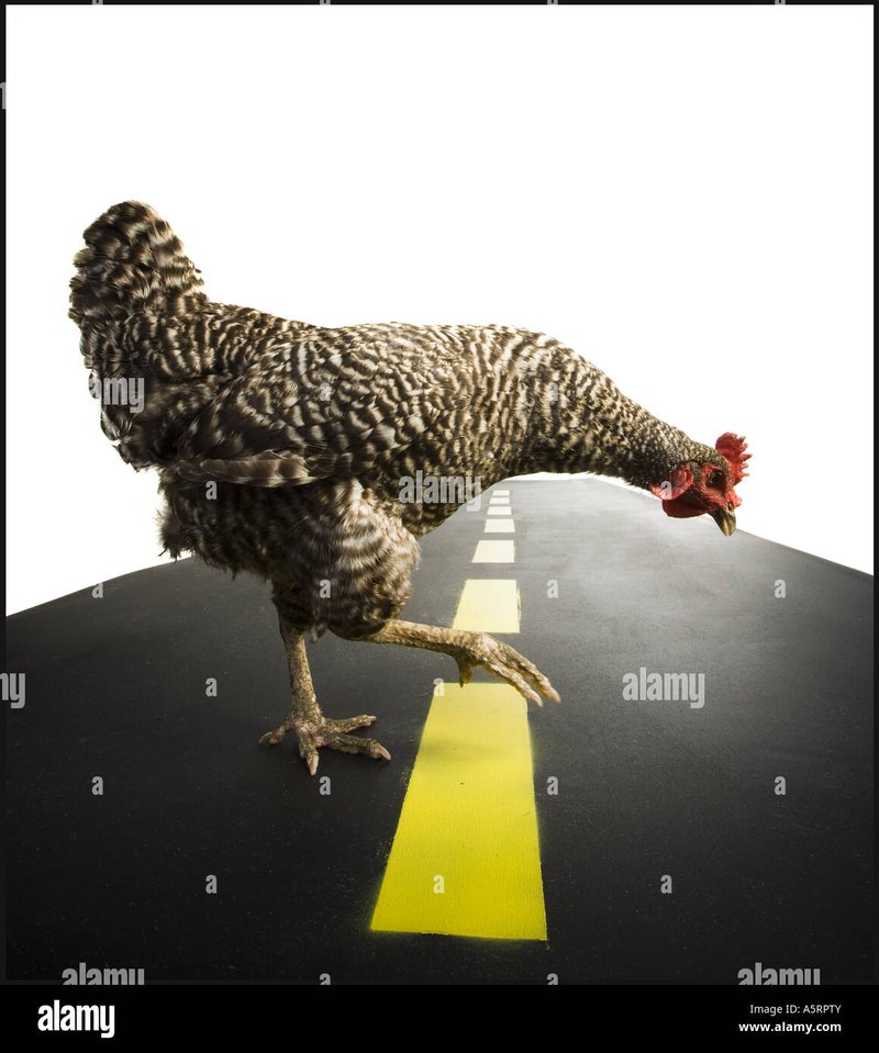 A look at chicken road nederland